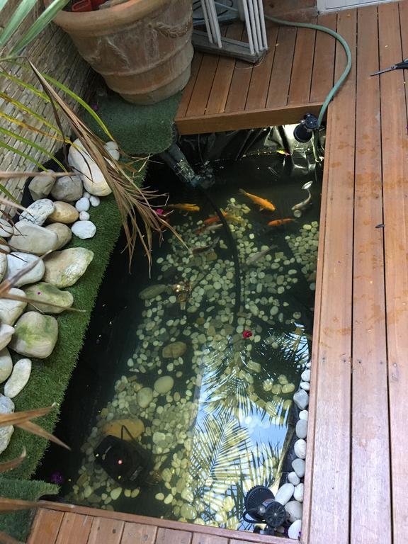 Gordons Guesthouse Cape Town Bagian luar foto